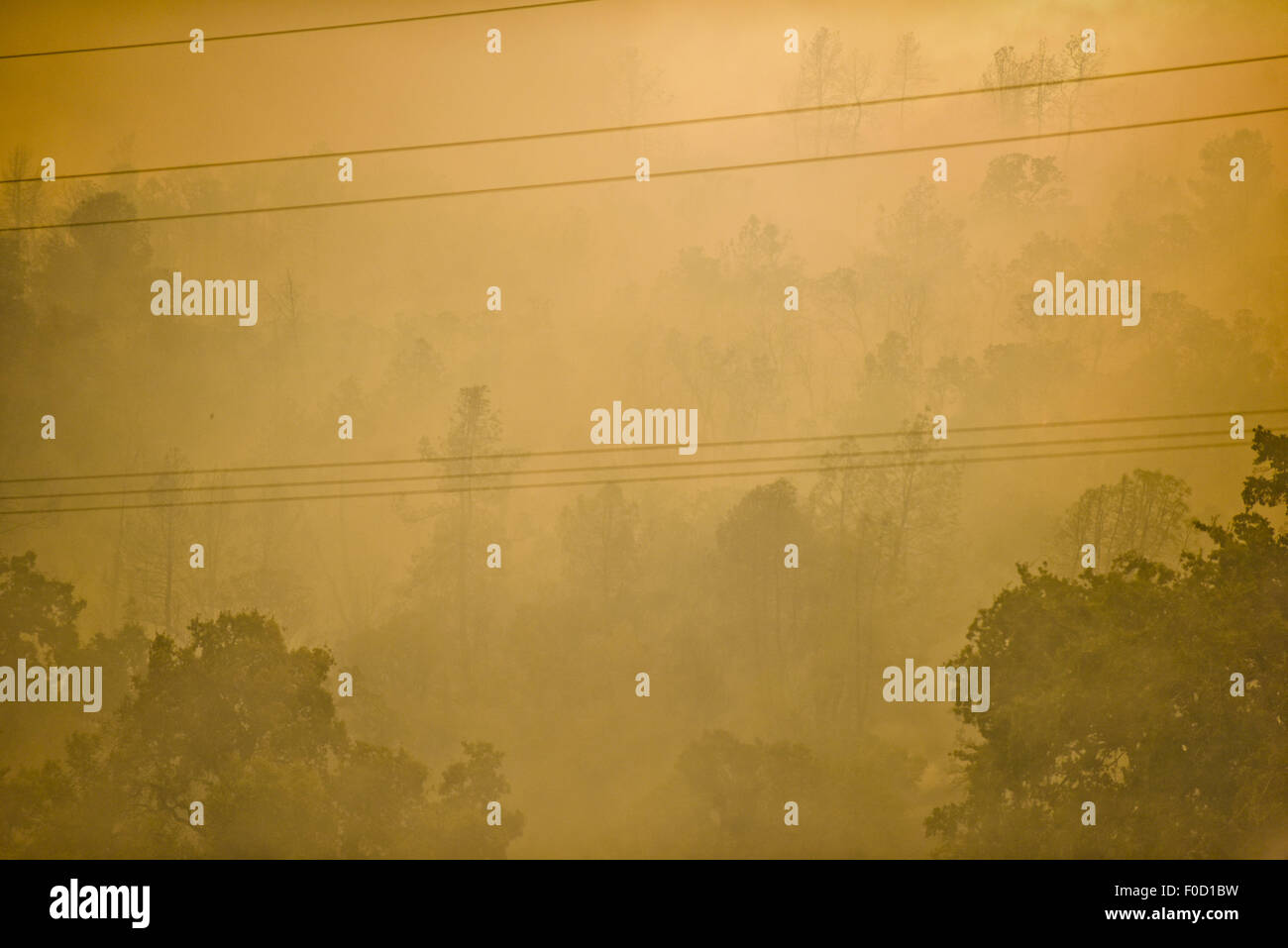 Clearlake, CA, USA. 12th Aug, 2015. The Jerusalem Fire burns off