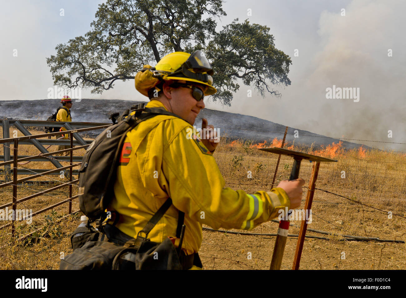 Clearlake, CA, USA. 12th Aug, 2015. CAL FIRE Lake Napa Unit firefighter