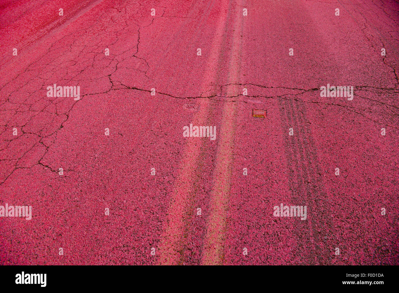 Clearlake, CA, USA. 12th Aug, 2015. Valley Road is covered in