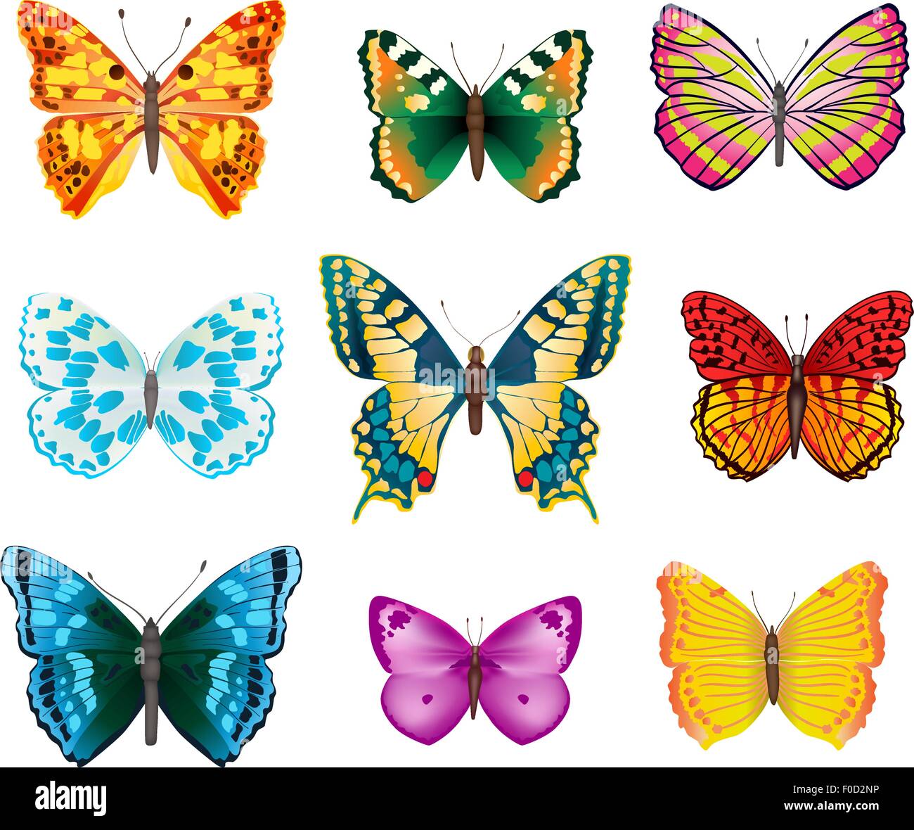 set of various colorful butterflies with open wings Stock Vector