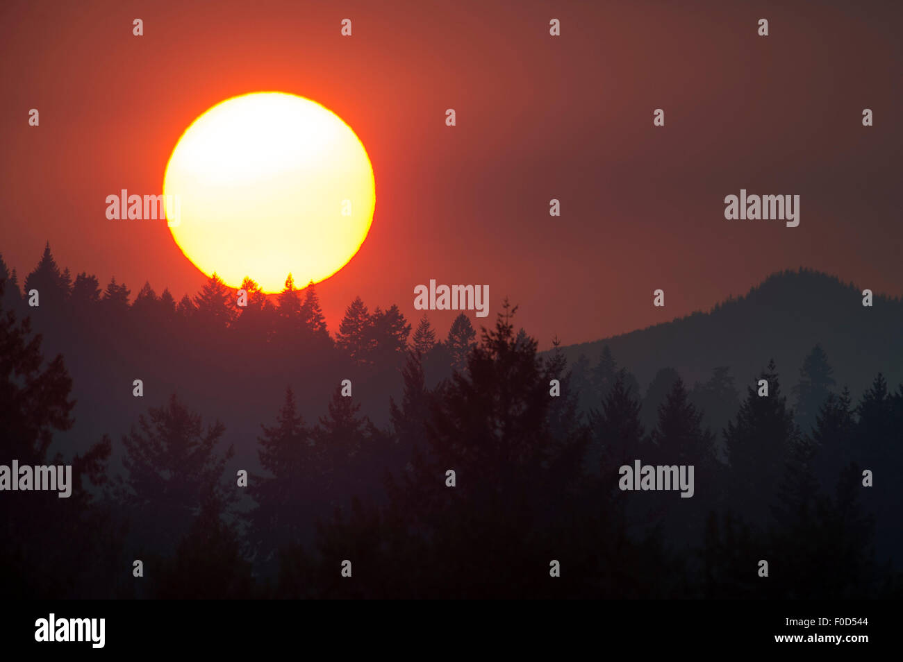 Elkton, Oregon, USA. 12th Aug, 2015. Smoke from several large nearby