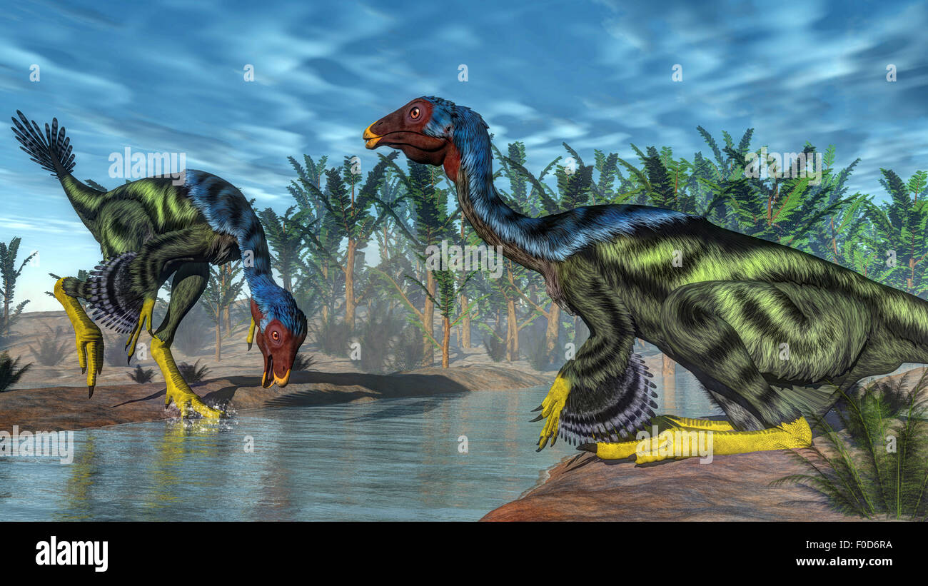 Two Caudipteryx dinosaurs drinking from a river next to Pachypteris and Onychiopsis plants. Stock Photo