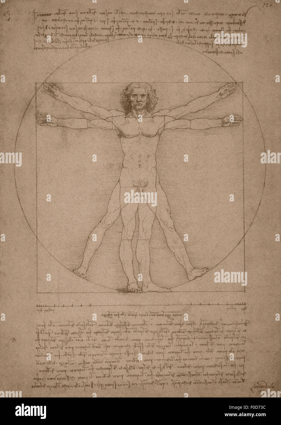 Leonardo da Vinci's Vitruvian Man, circa 1490. Stock Photo