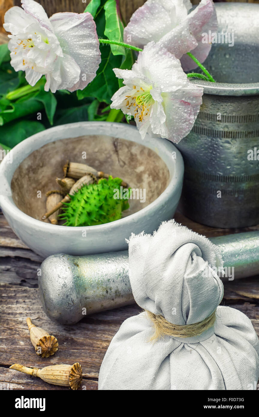 Stems of herbaceous medicinal plants genus Datura Nightshade family with poppy seeds on the background mortar with pestle.Select Stock Photo