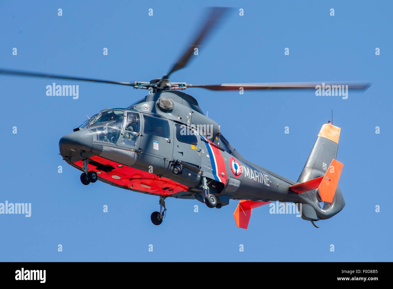 As365 dauphin hi-res stock photography and images - Alamy