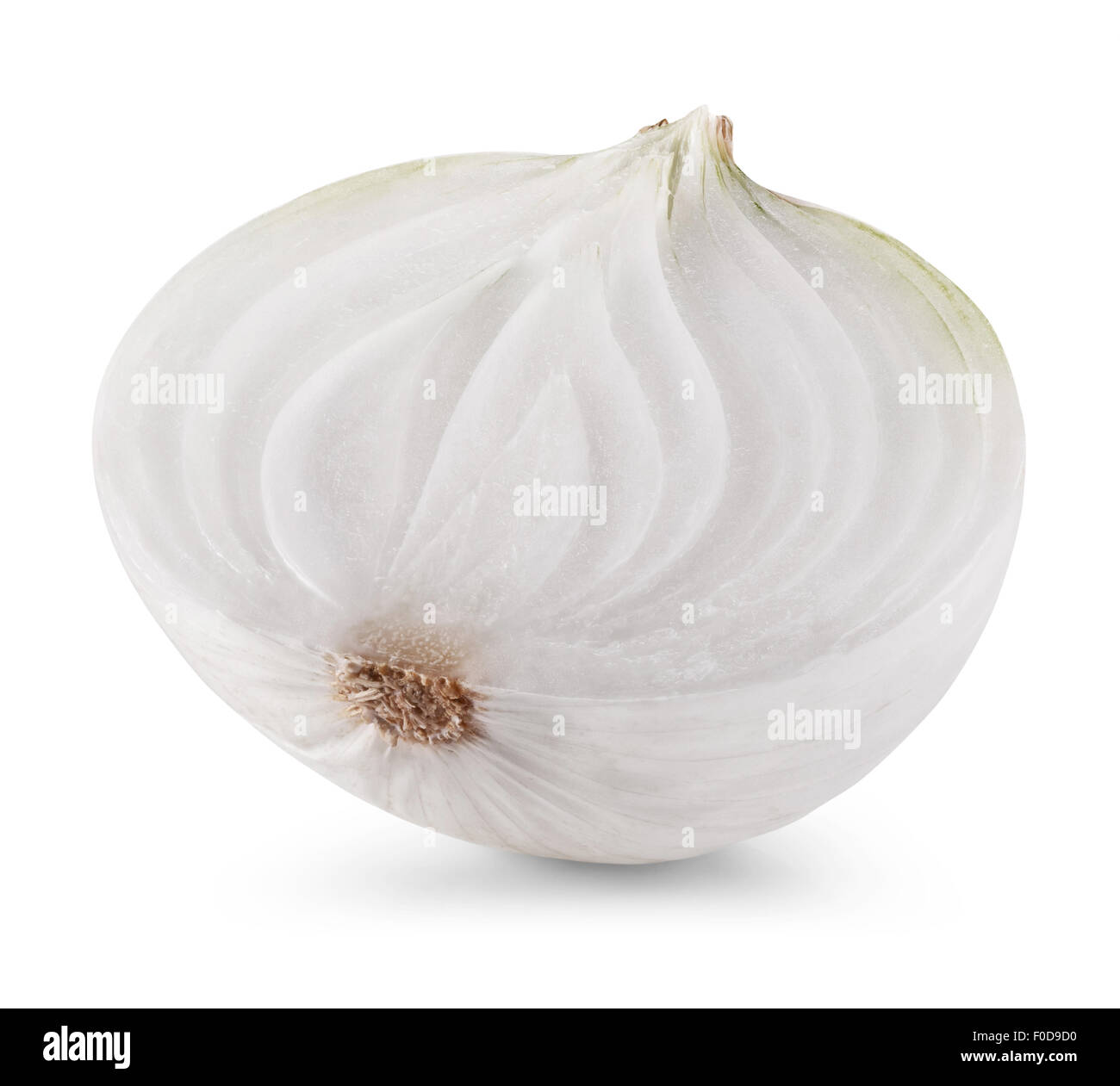 Photo of an onion hi-res stock photography and images - Alamy