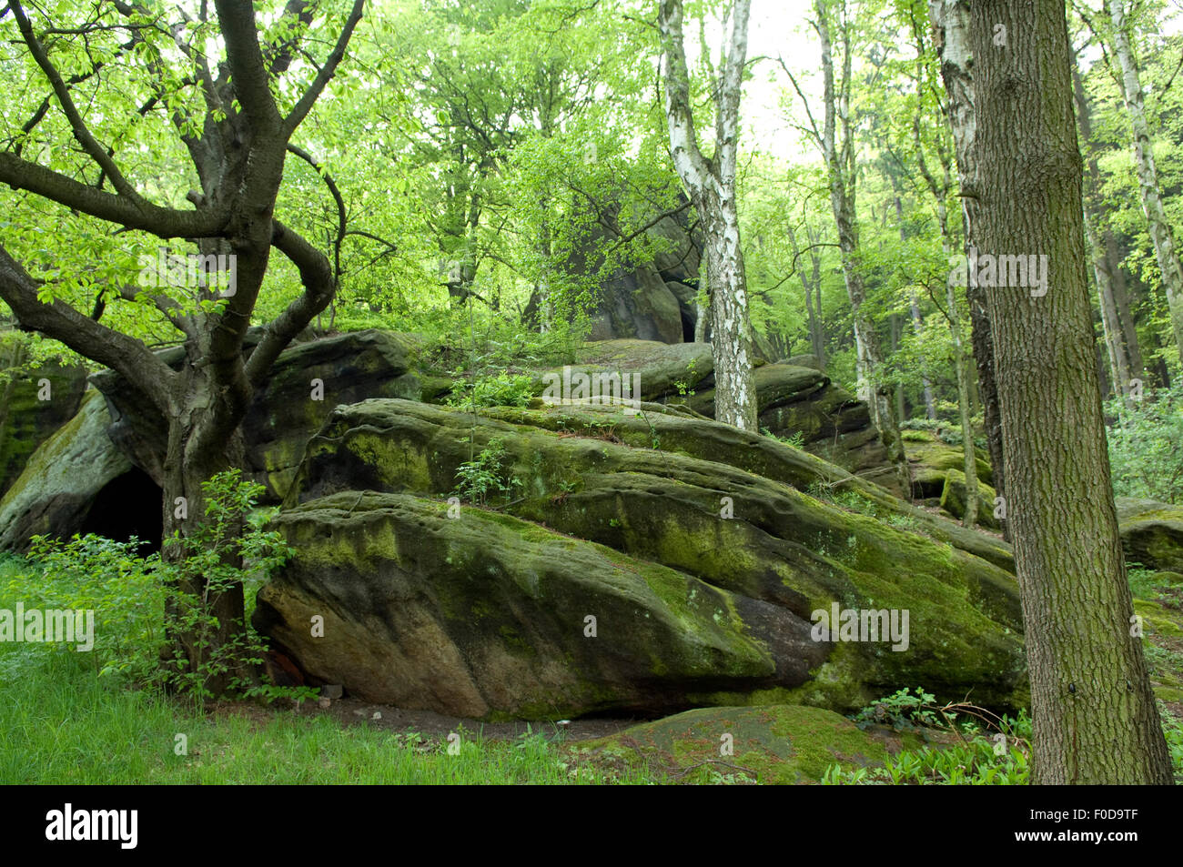 Felsen, Findlinge; Sachsen; Stock Photo