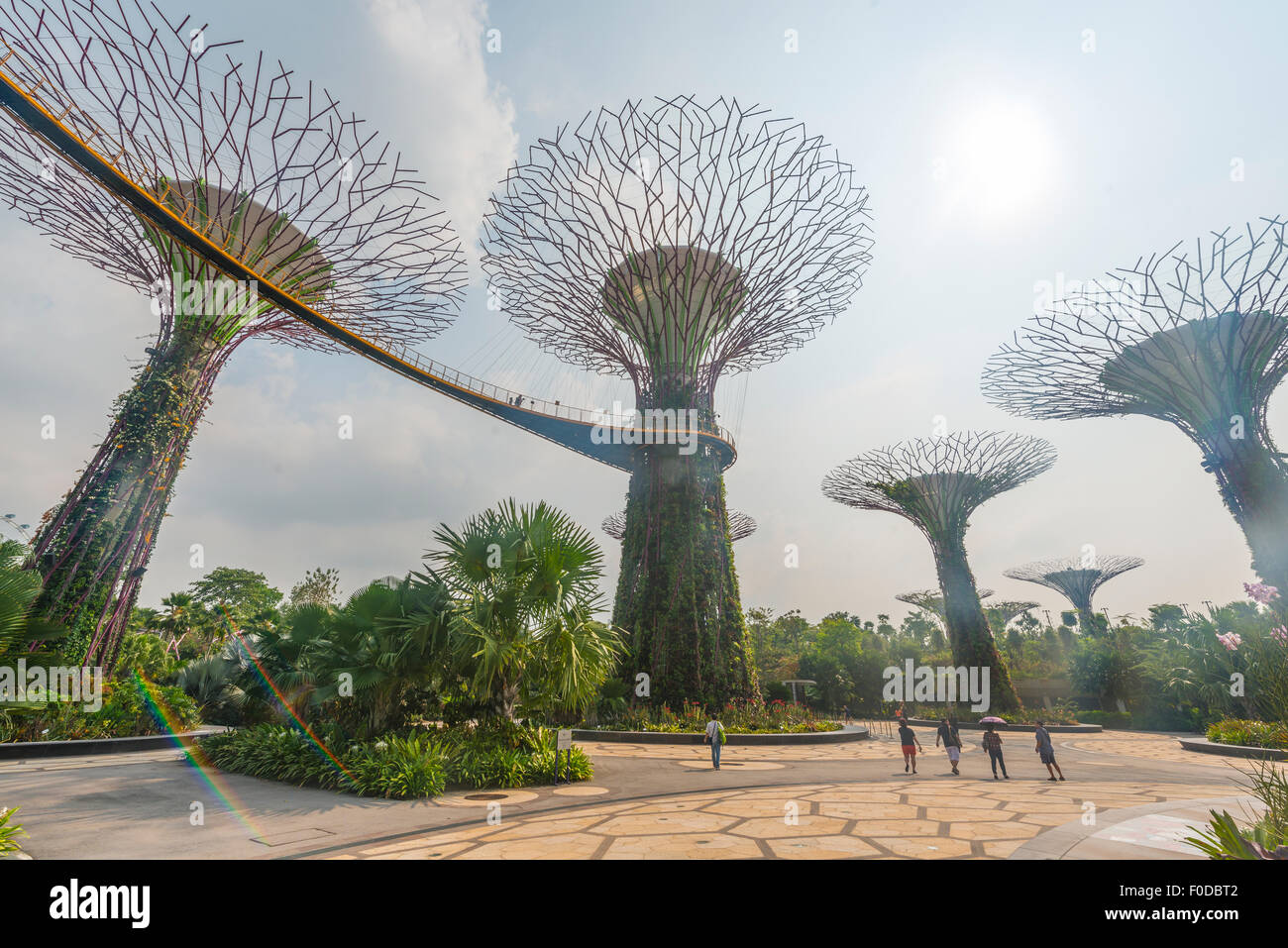 SuperTrees, Gardens by the Bay, Singapore Stock Photo Alamy