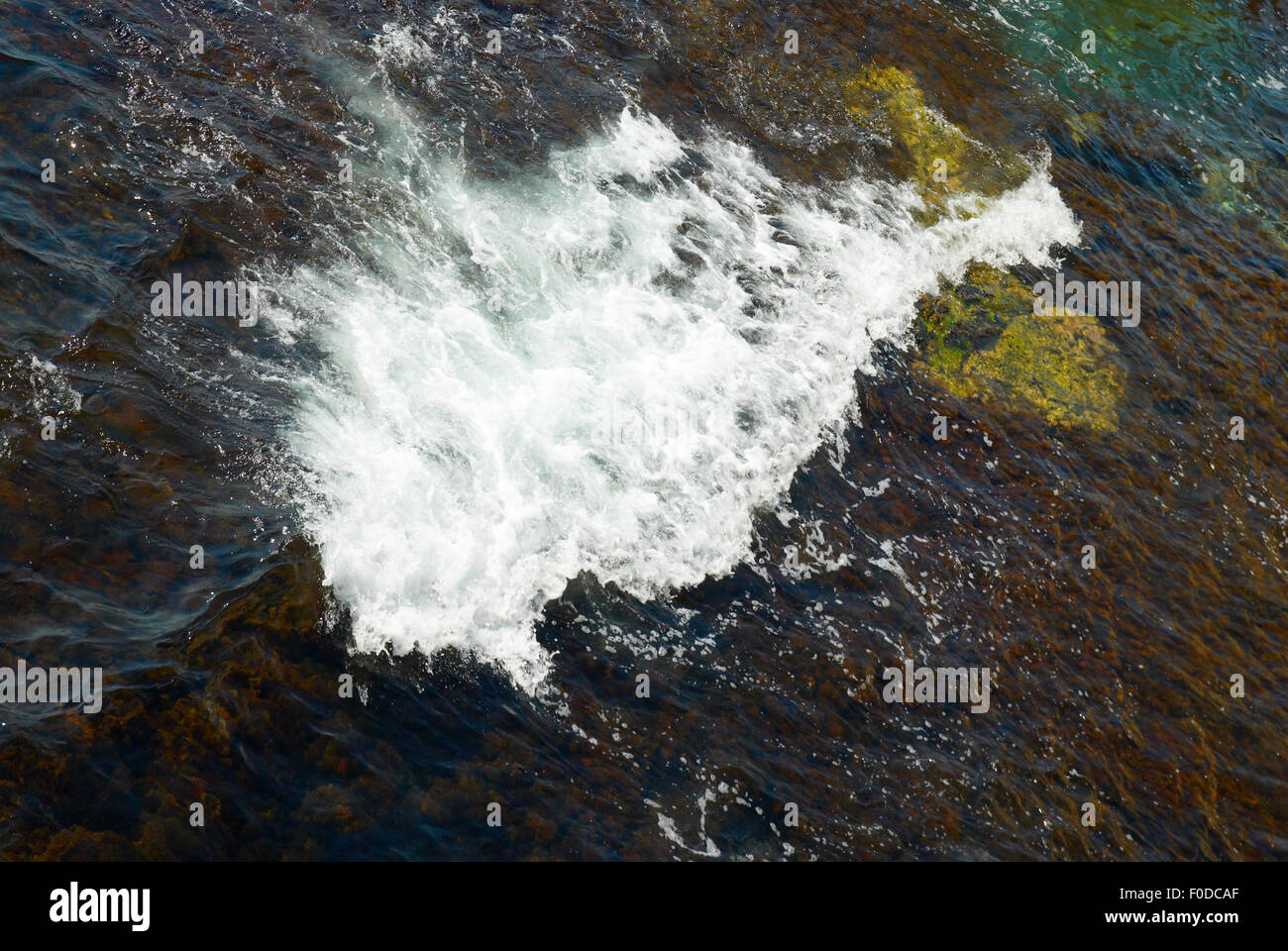 A big wave and the brown algae. Stock Photo