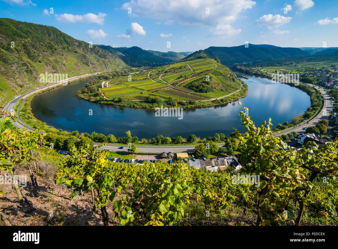River bend of the Moselle, Bremm, Moselle valley, Rhineland-Palatinate, Germany Stock Photo