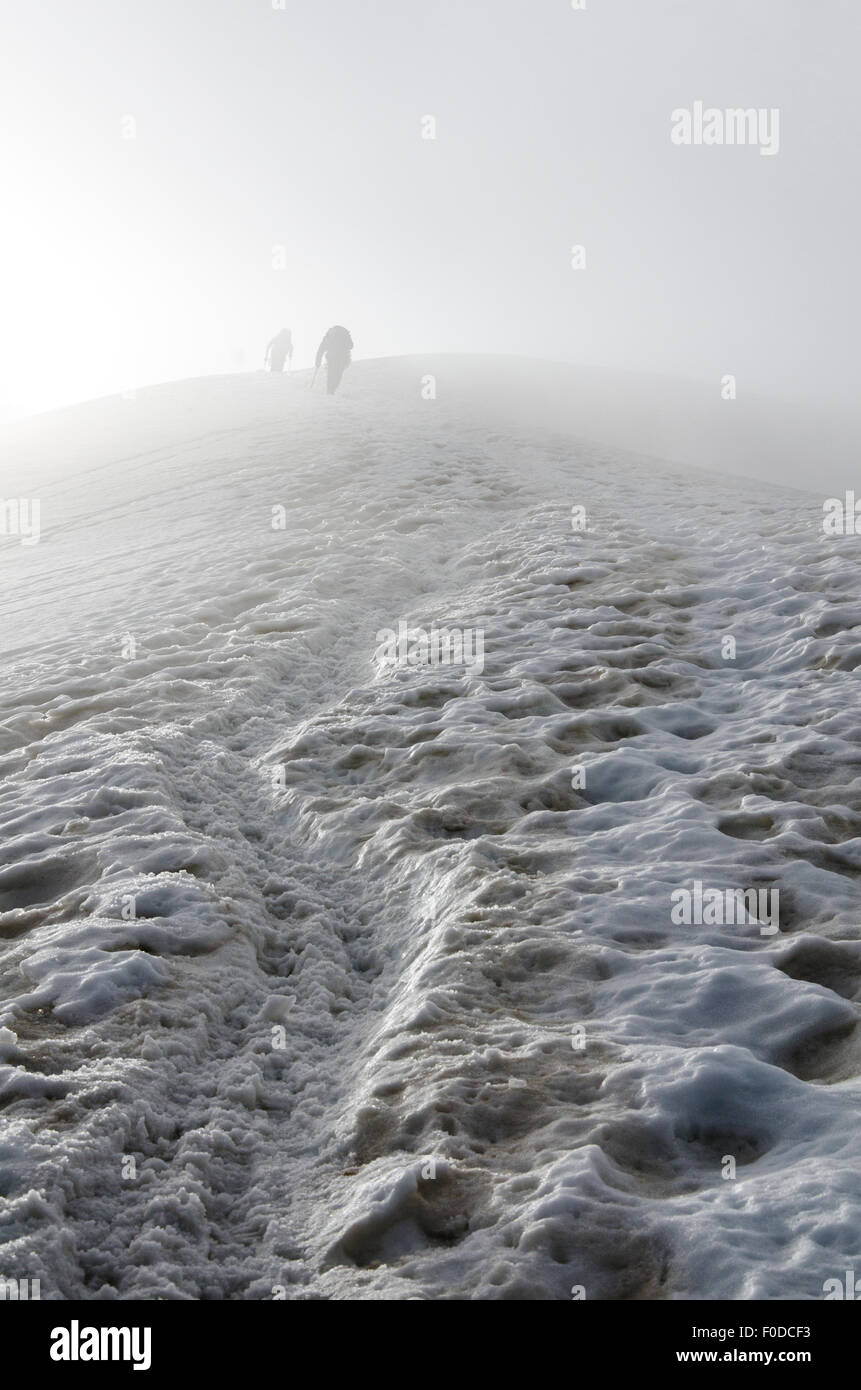 Climbers fading away in the fog, Triftgletscher glacier, West North West flank, Weissmies, Saas Valley, Valais Alps, Switzerland Stock Photo