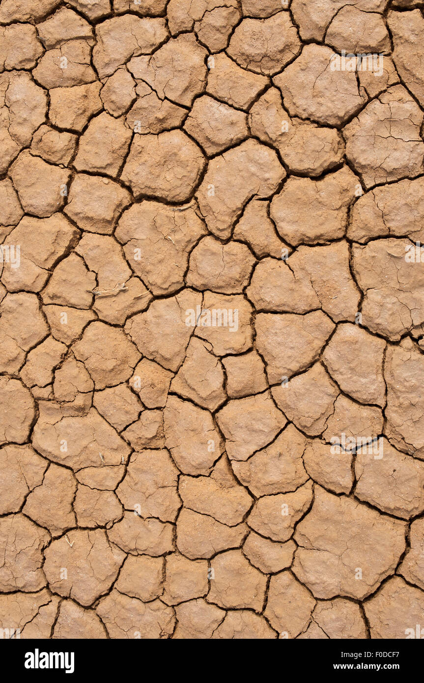 Dry earth, Australia Stock Photo