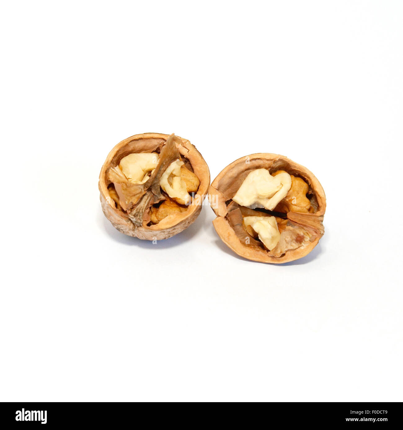 Two halves of walnut isolated on white. Stock Photo