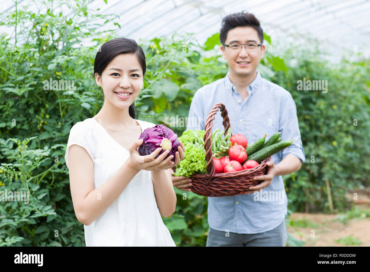 Young couple picking vegetables in greenhouse Stock Photo - Alamy