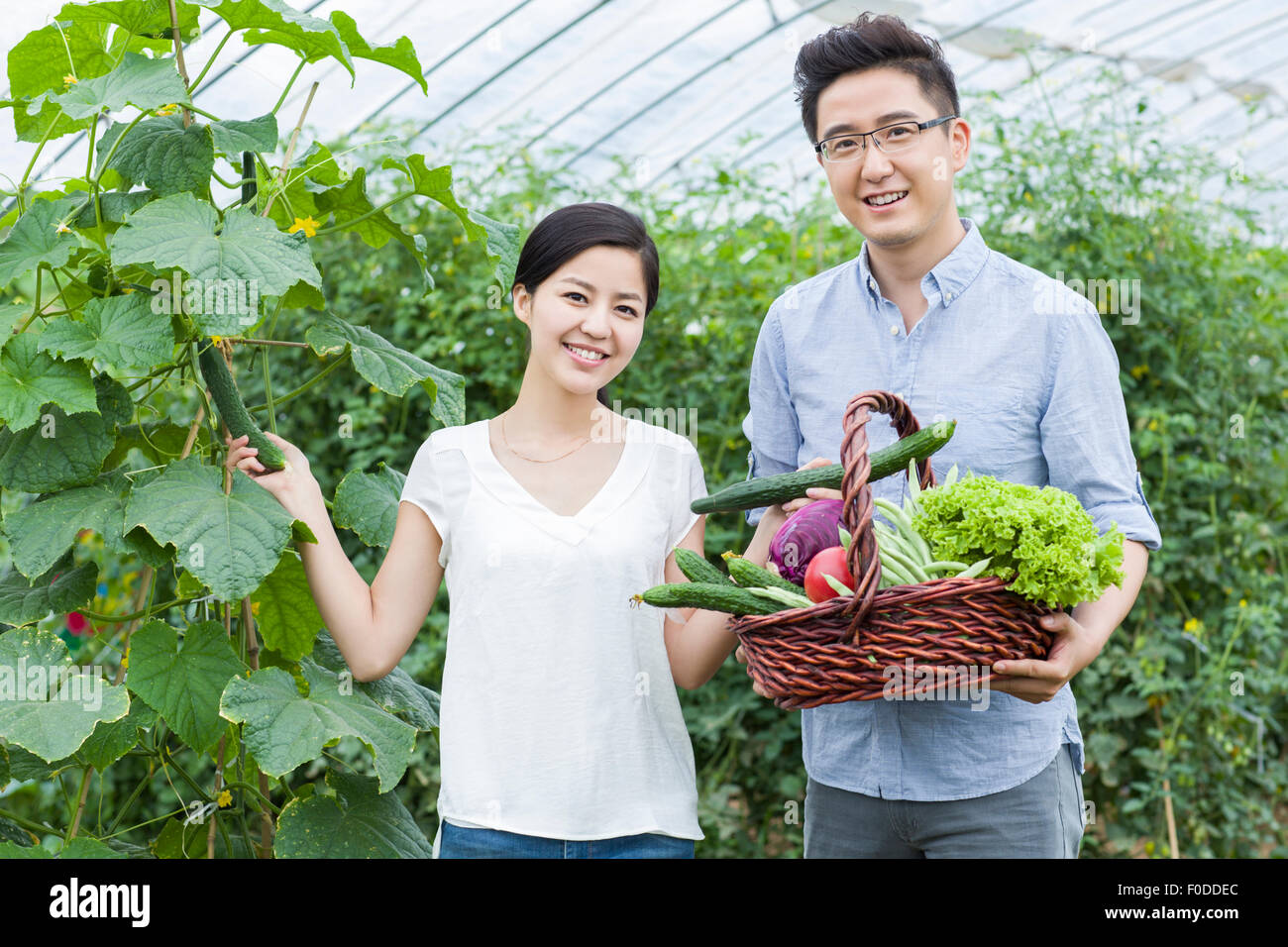Young couple picking vegetables in greenhouse Stock Photo - Alamy