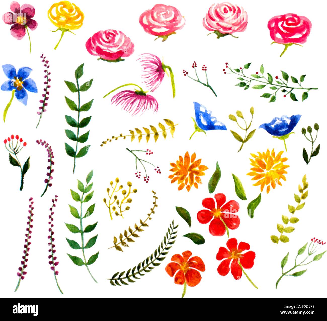 set of watercolor floral design elements. vector Stock Vector