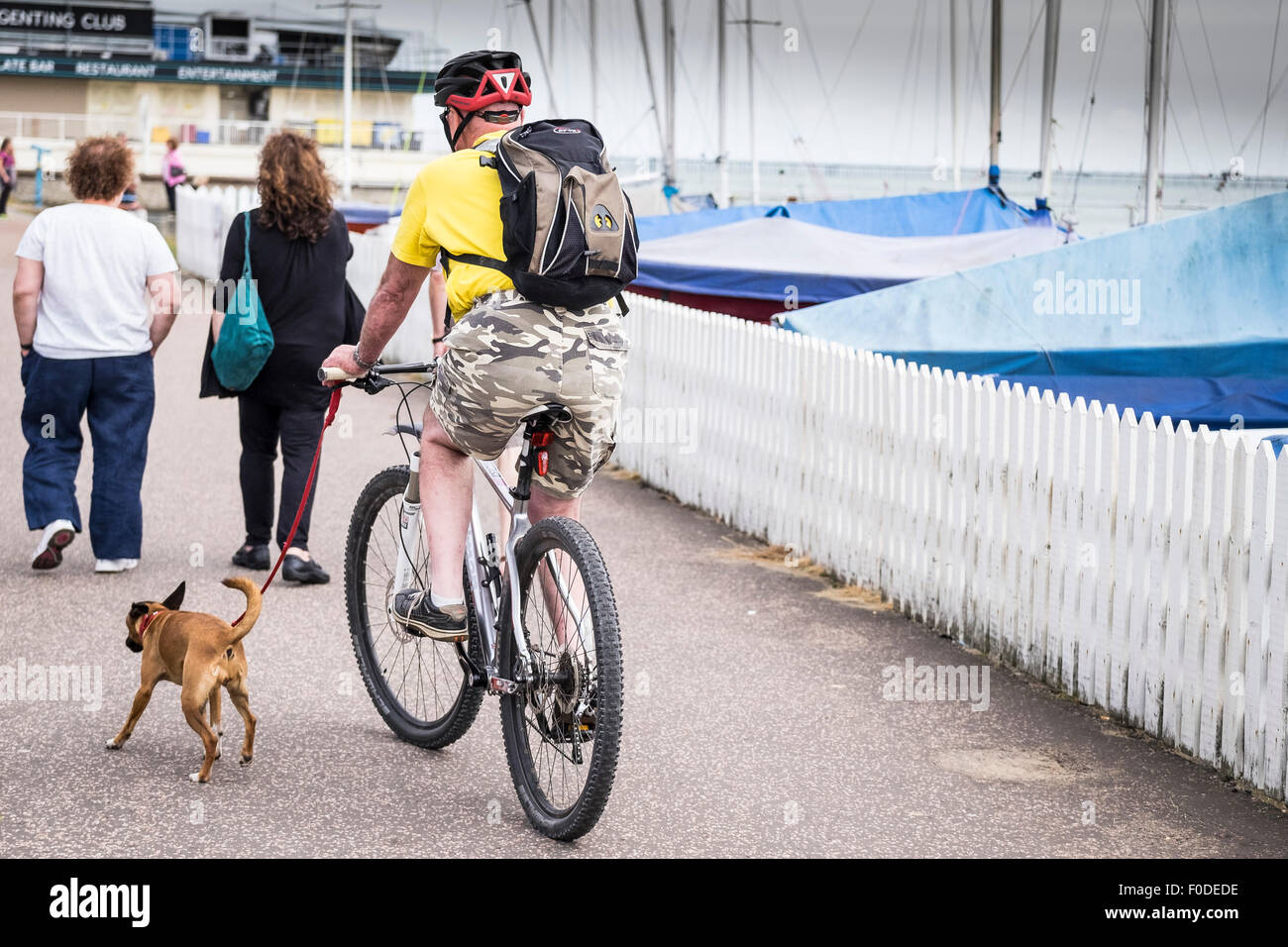 A cyclist and his dog rides along Southend seafront in Essex. Stock Photo