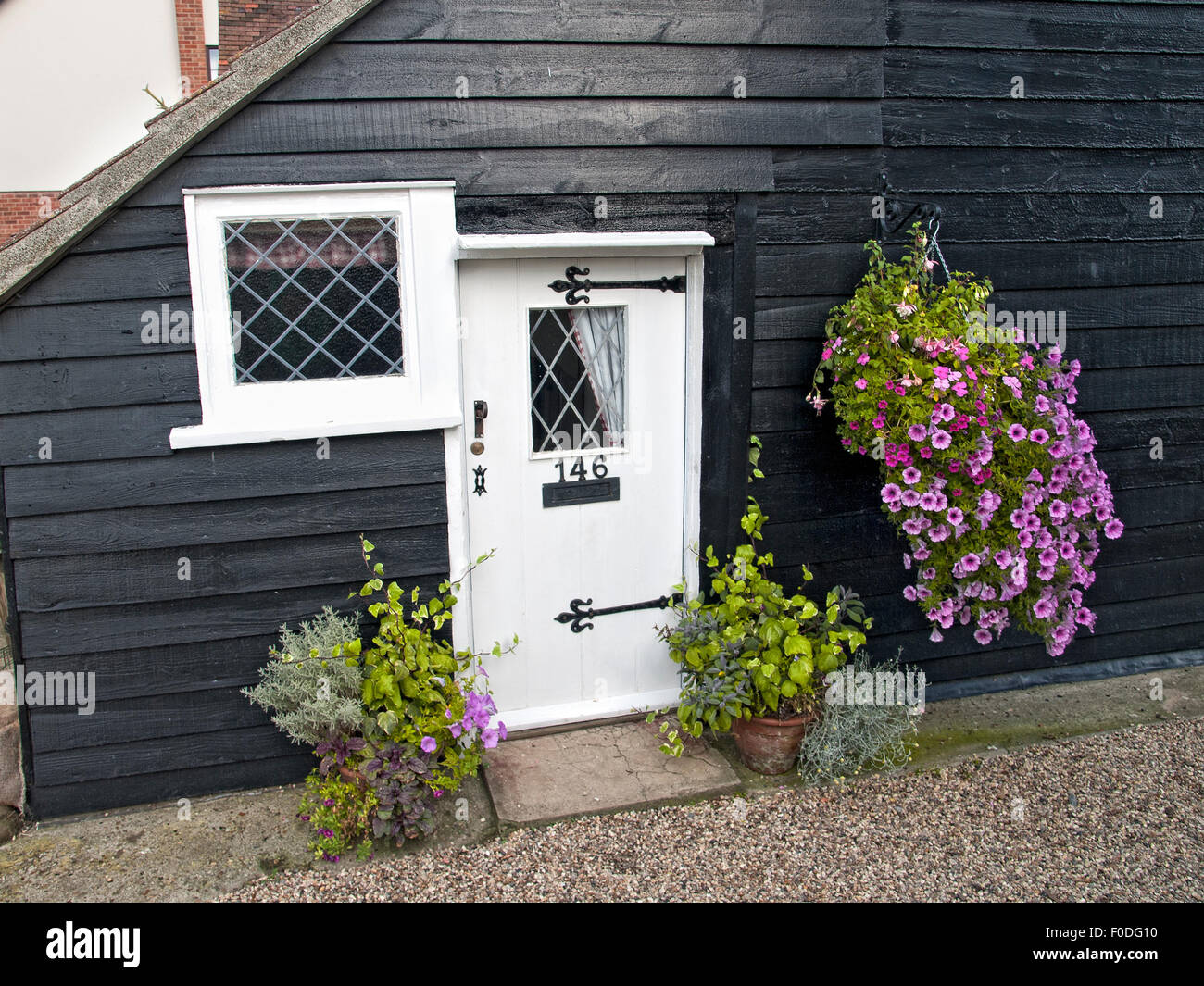 Nutshell cottage with flowers at entrance. West Mersea. Mersea Island