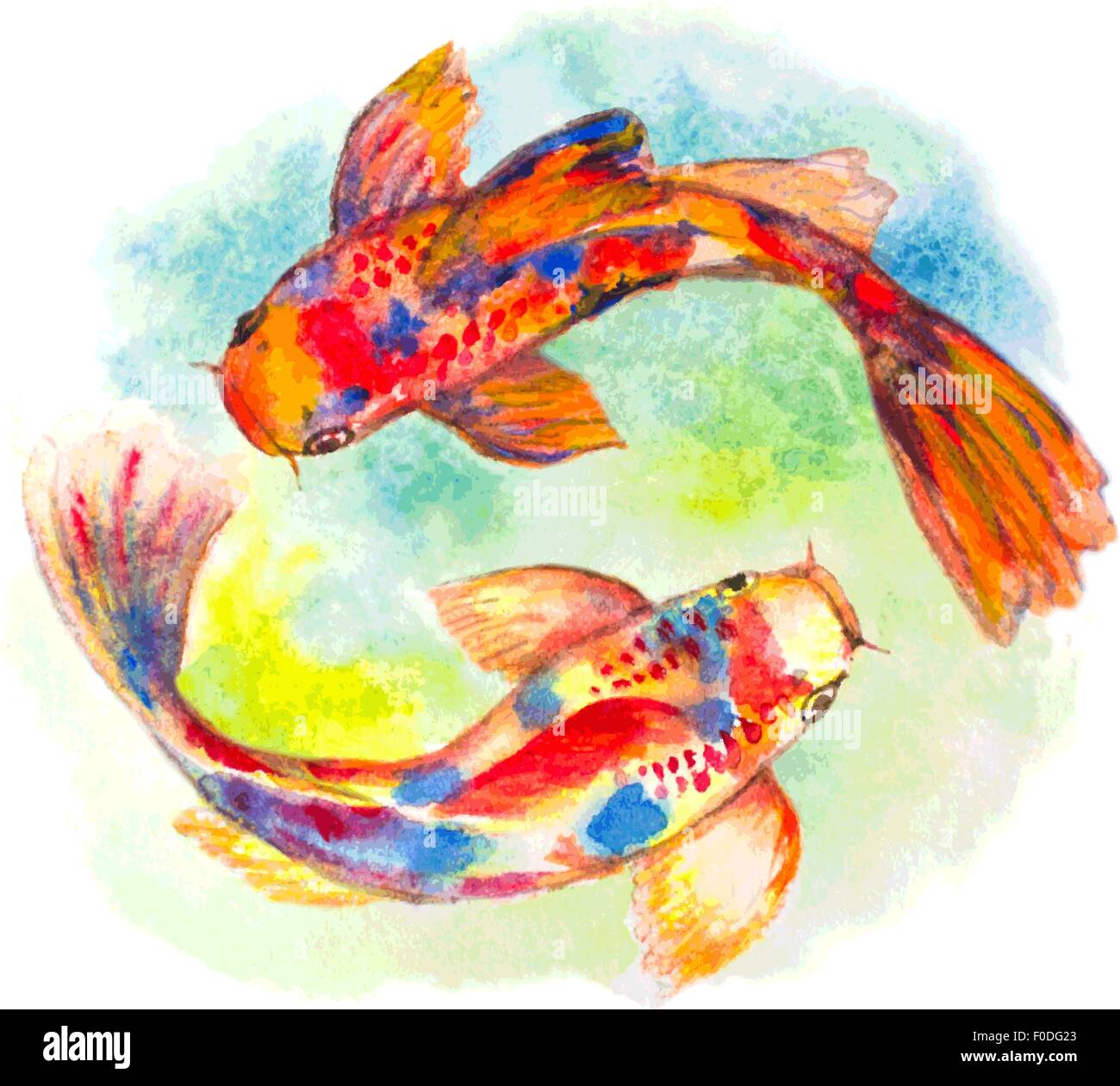 watercolor hand drawn koi fishes Stock Vector