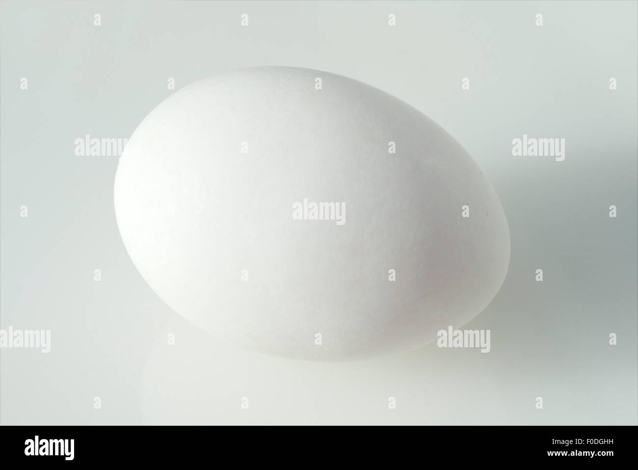 Weisses; Ei; Huehnerei; Stock Photo