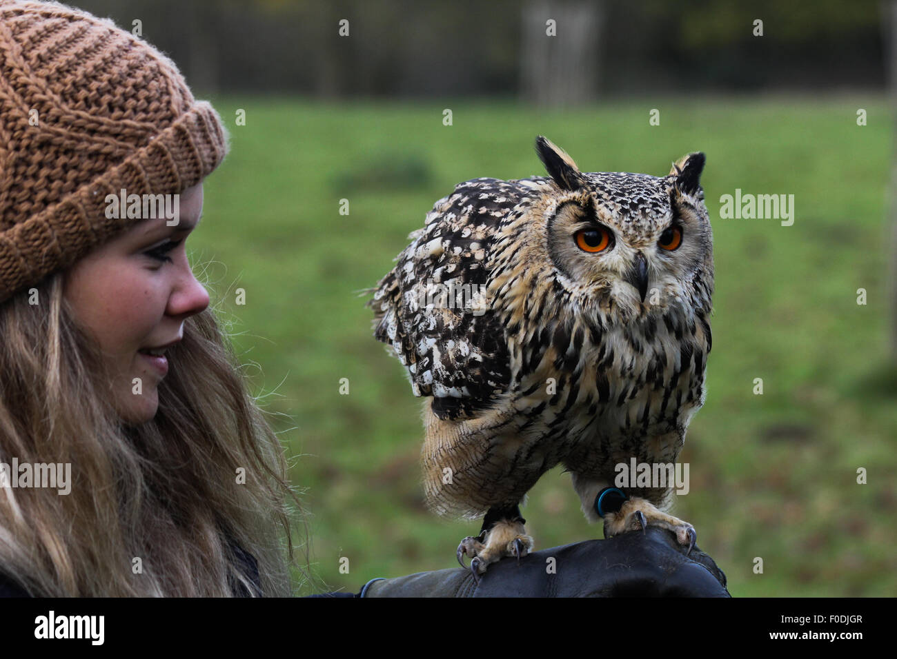 A young woman smiles at a Bengal eagle-owl perched on her falconers glove Stock Photo
