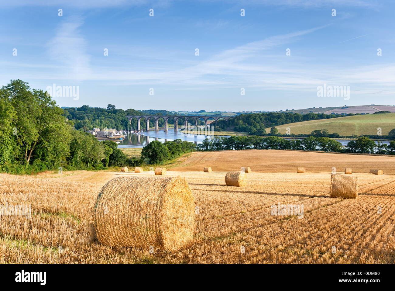 Hay bales at harvest time in the Cornsih countryside Stock Photo
