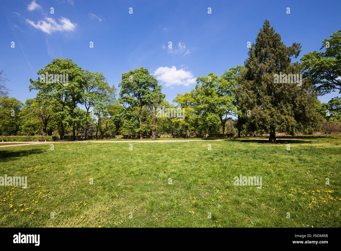 Green sunny park hi-res stock photography and images - Alamy