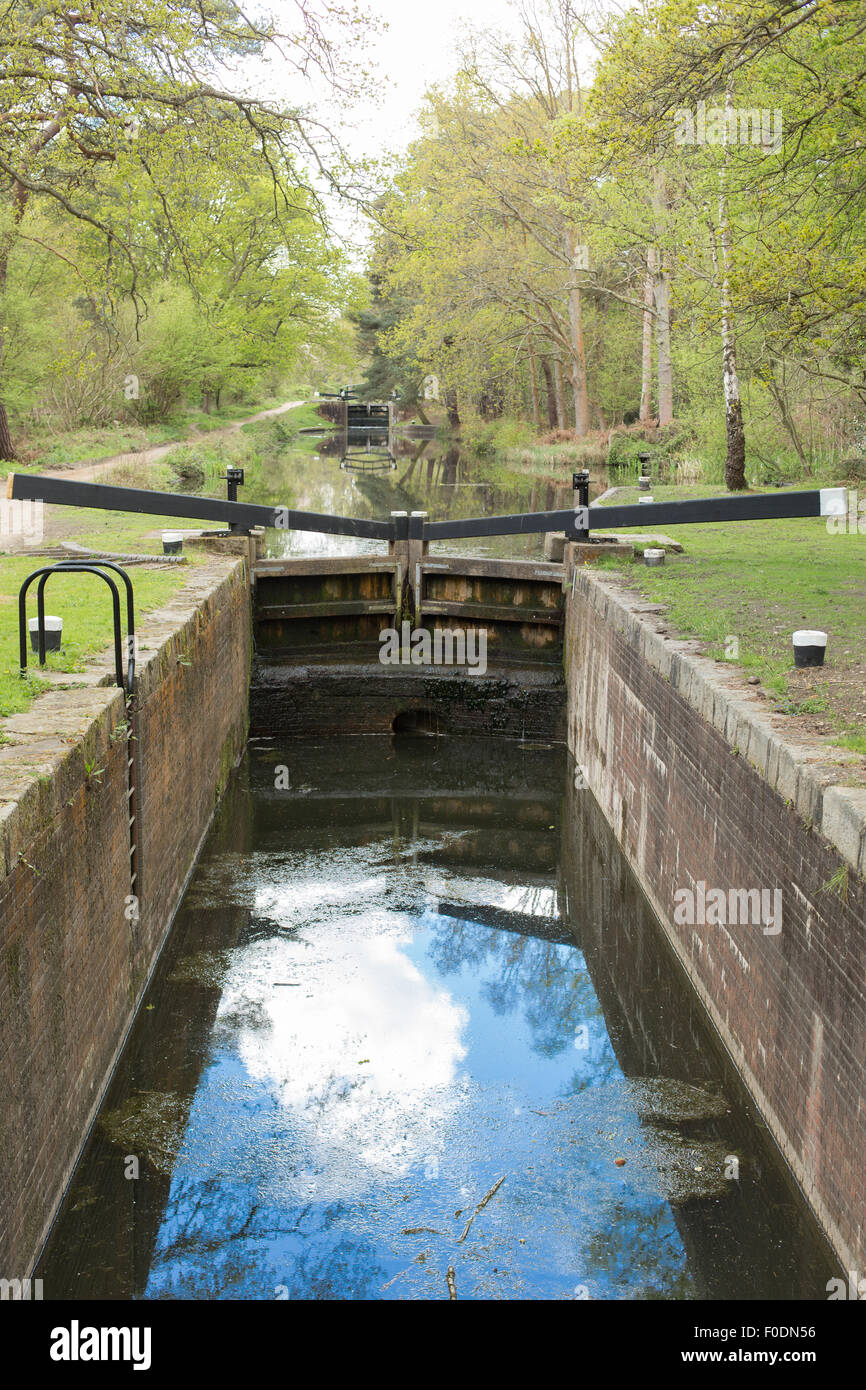 A lock on the Basingstoke Canal showing the closed lock gate, taken from the bridge over the lock. Stock Photo