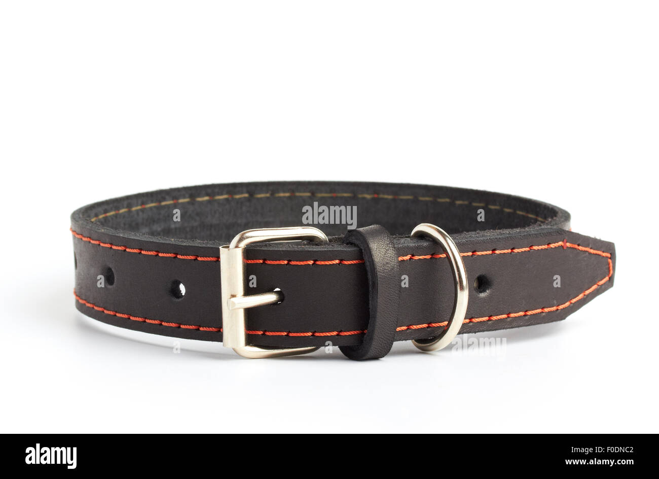 dogs collar on white Stock Photo - Alamy