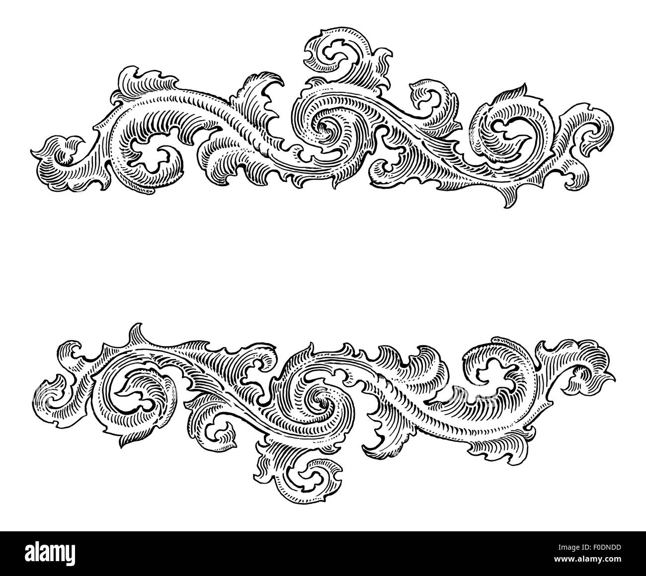 Beautiful Baroque  style decorative calligraphy floral vector ornament. Vintage logo title Stock Photo