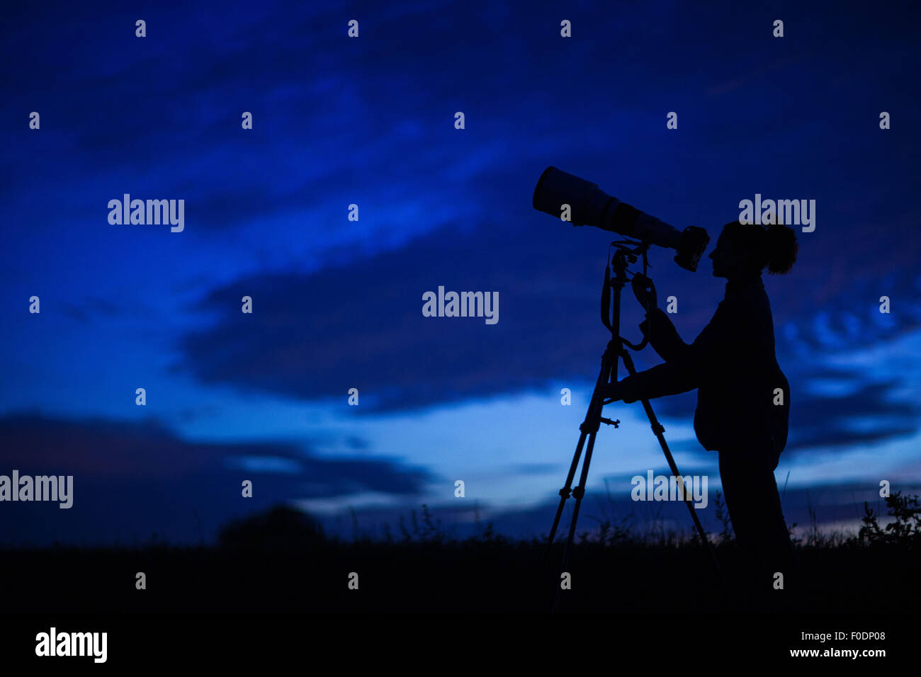 A woman waithing to photograph a meteor shower over Roegnitz, Germany, 12 August 2015. The peak