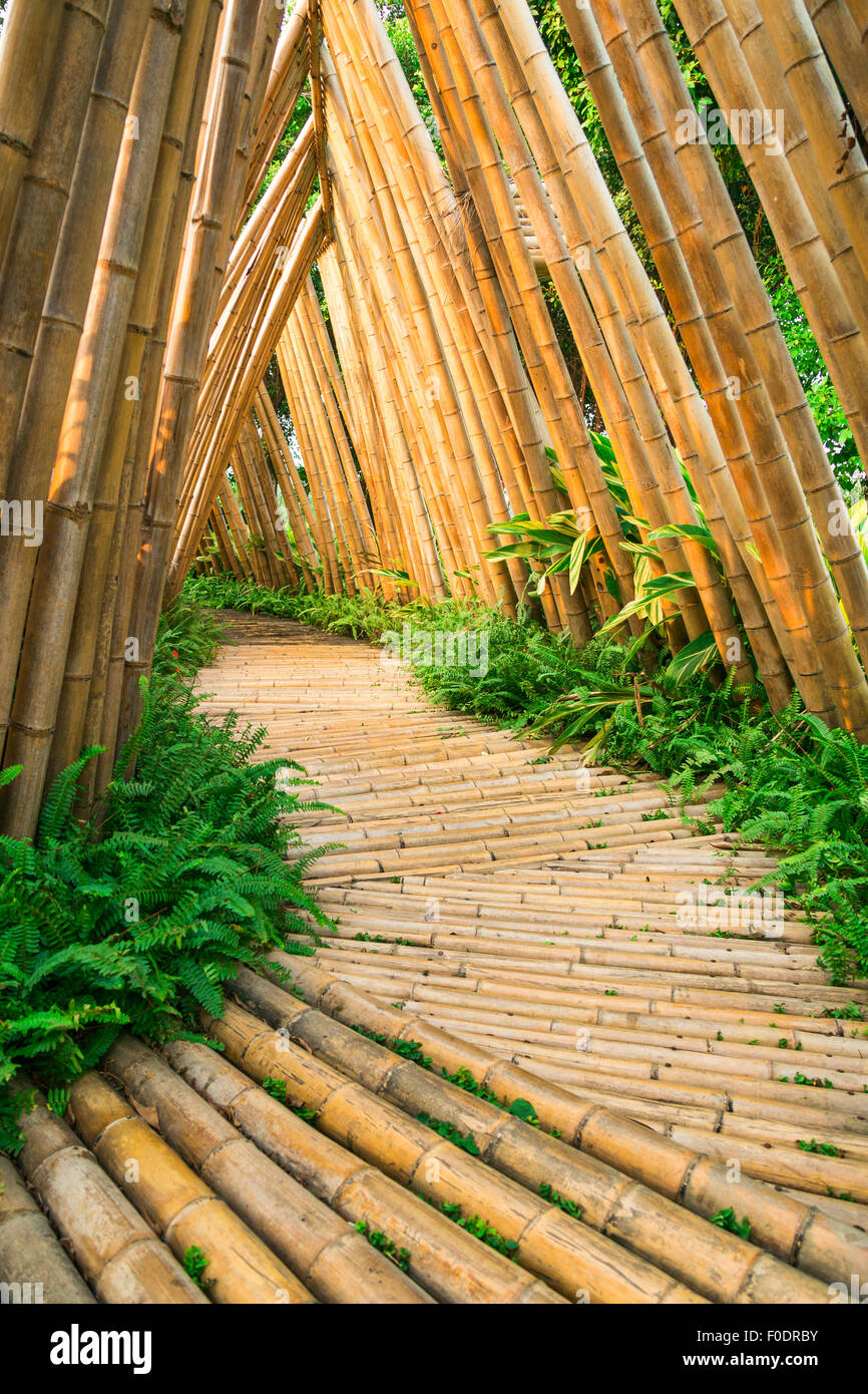 Bamboo road hires stock photography and images Alamy