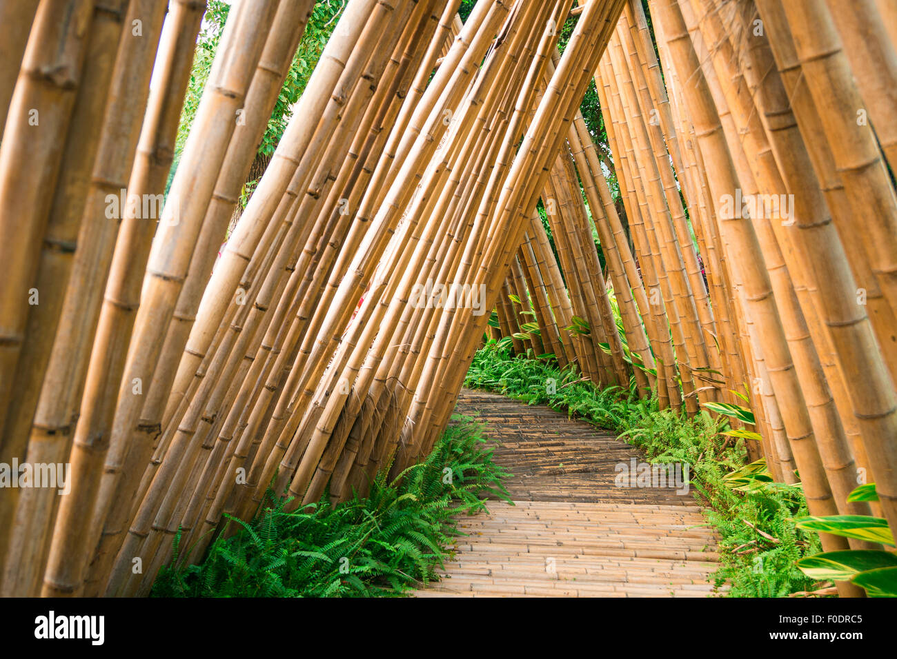 Bamboo road hires stock photography and images Alamy