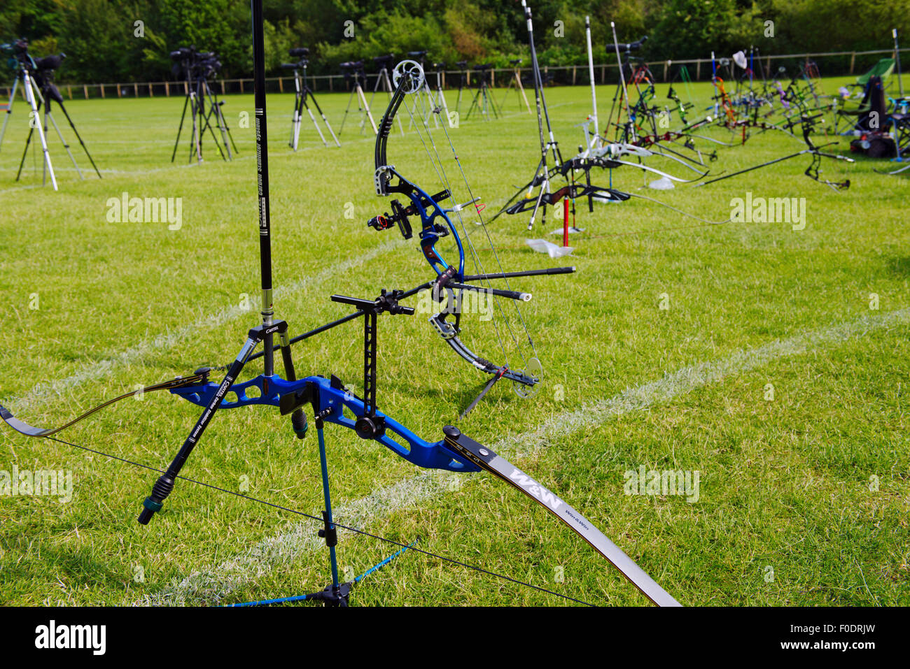 Archery competition, row of bows of variety of modern styles (compound and recurve) lined up behind shooting line Stock Photo