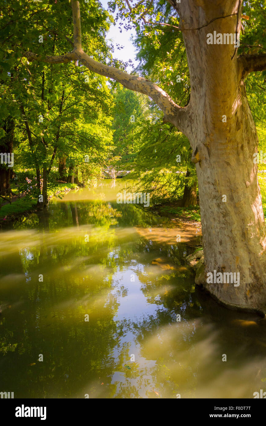 Pond, Sempione Park, Milan. Italy, Sempione Park, Milan. Italy Stock Photo