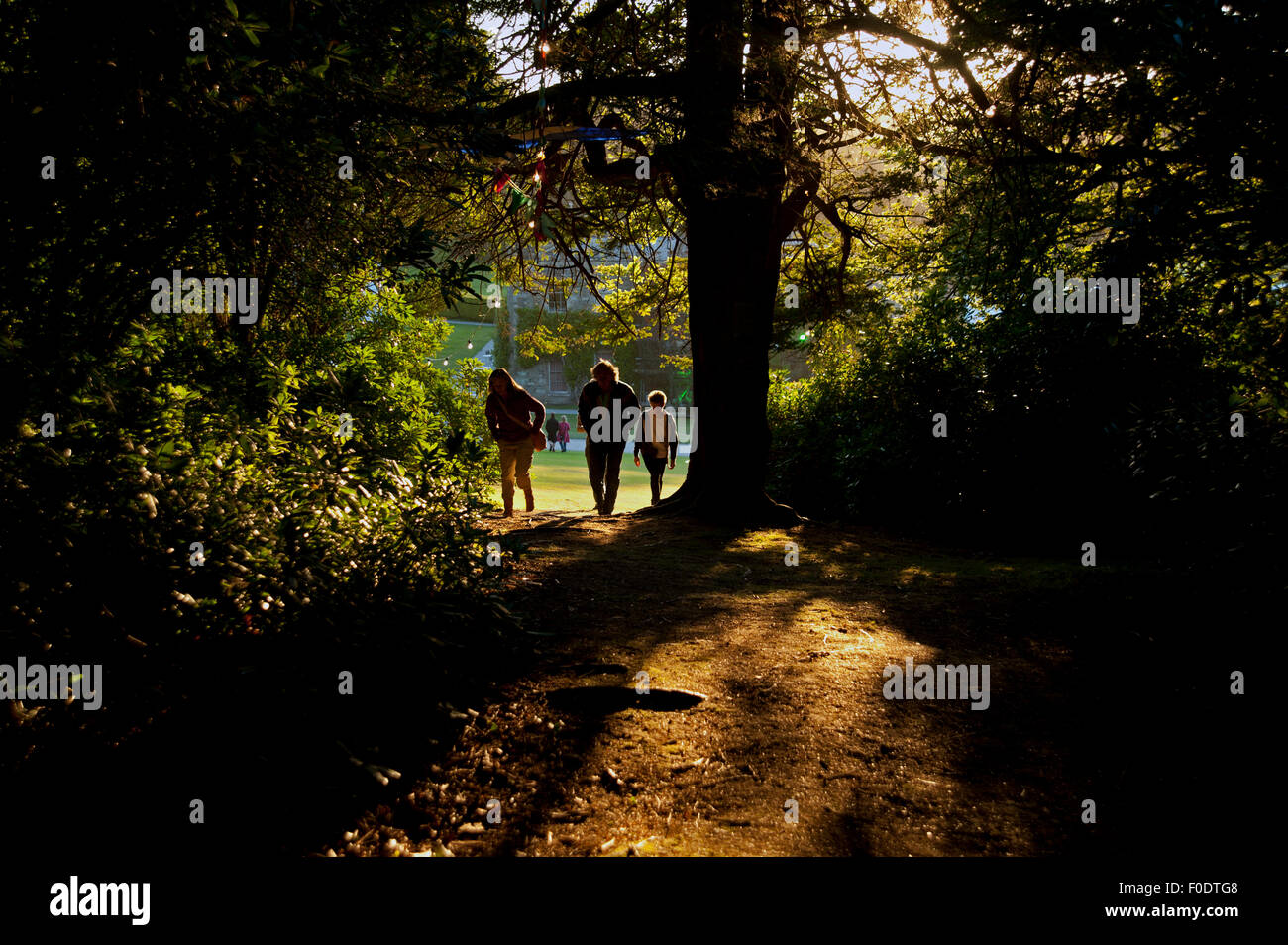 A family silhouetted against the sun walk through the woods as the sun goes down at the Port Eliot Festival Cornwall Stock Photo