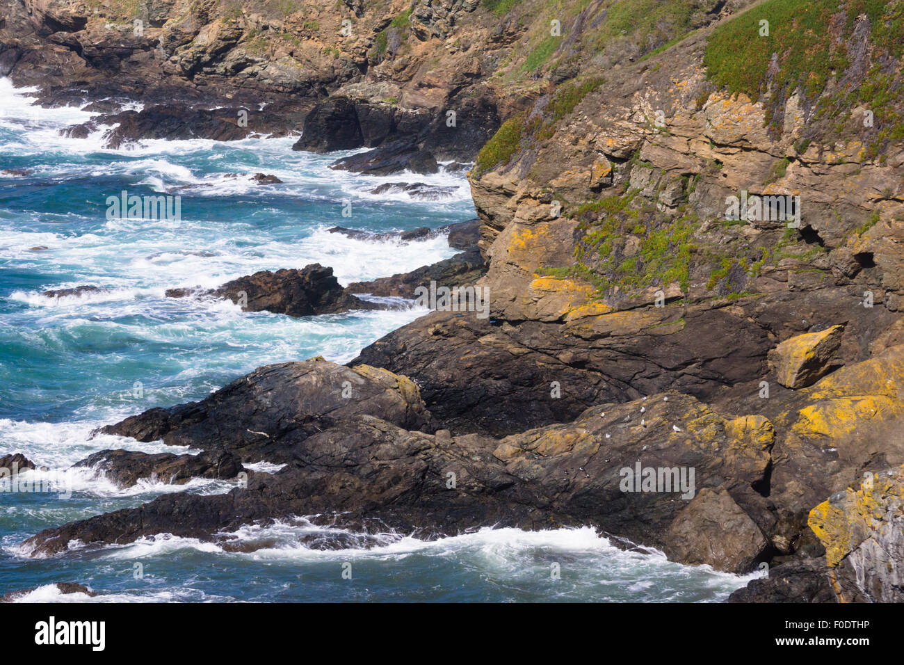 Lizard Point Rocks The rocks around Old Lizard Head Lizard Point Cornwall England UK Stock ...