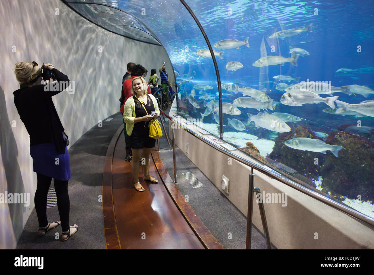 Tunnel in Barcelona Aquarium ocean fish tank in Barcelona, Catalonia, Spain Stock Photo
