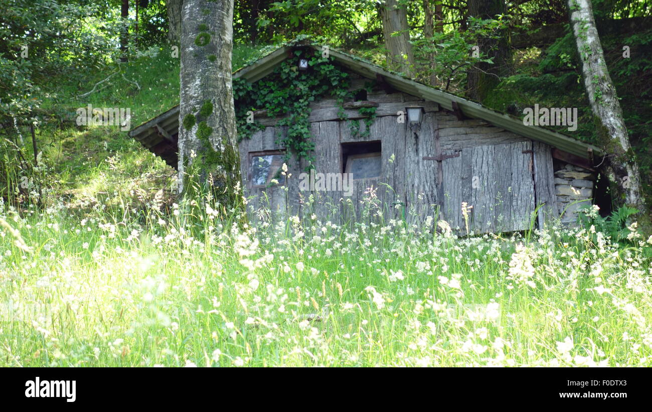 Wooden hut in a forest above Lake Como, Italy Stock Photo