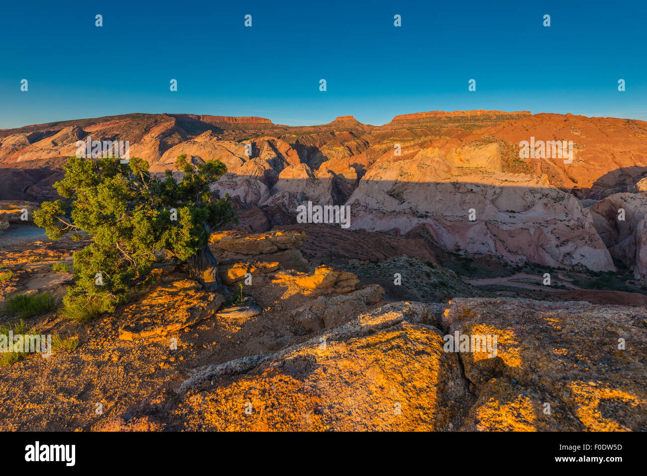 Halls creek hires stock photography and images Alamy