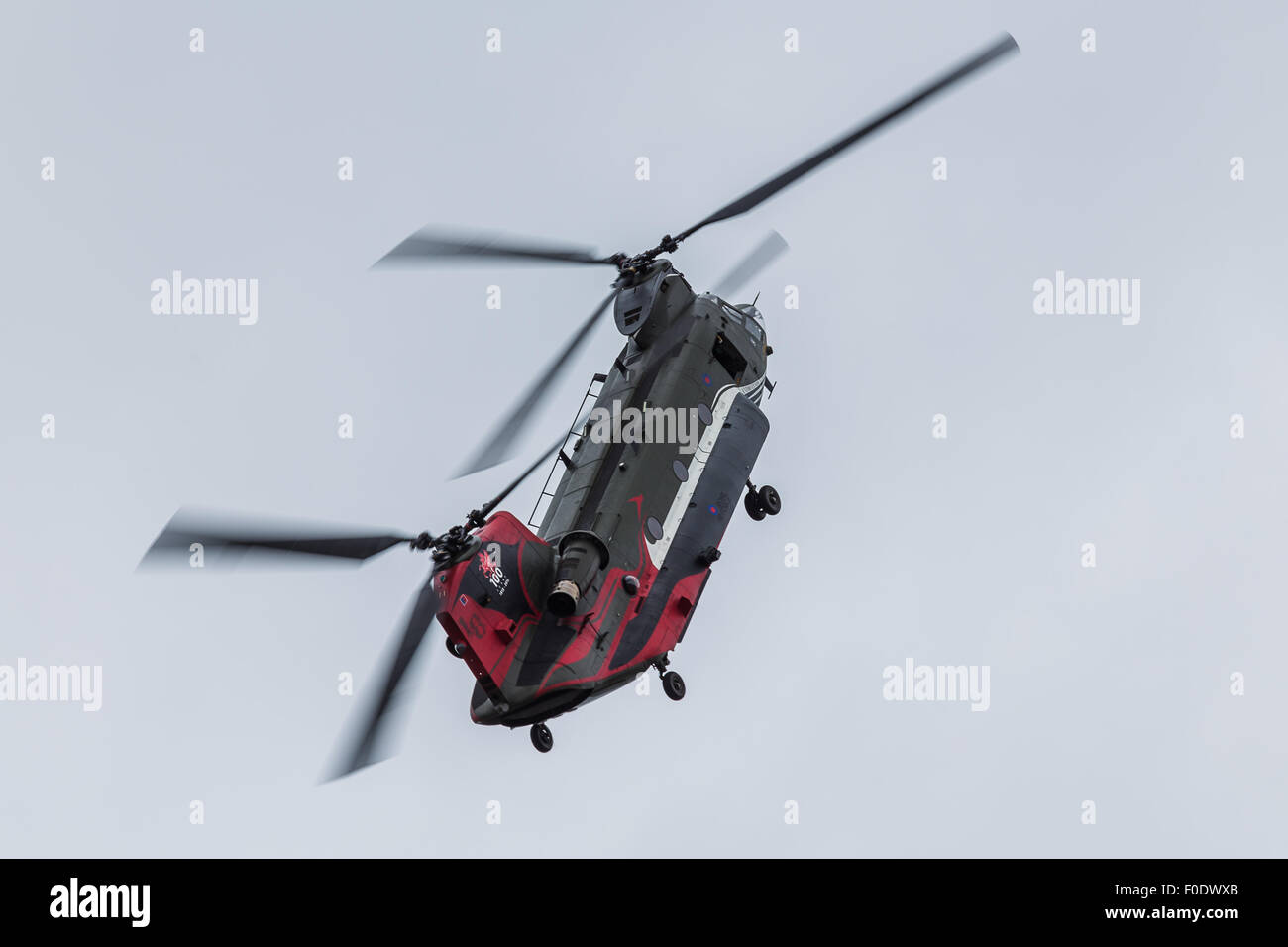 Boeing HC4 Chinook from the Royal Air Force performing above the skies of Blackpool. Stock Photo
