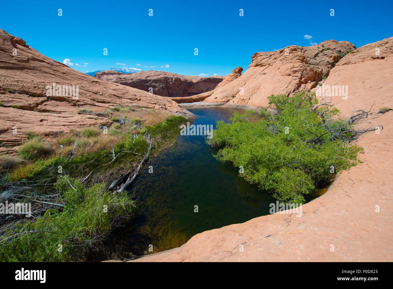 Small lake oasis in the desert Escalante National  Horizontal composition Stock Photo