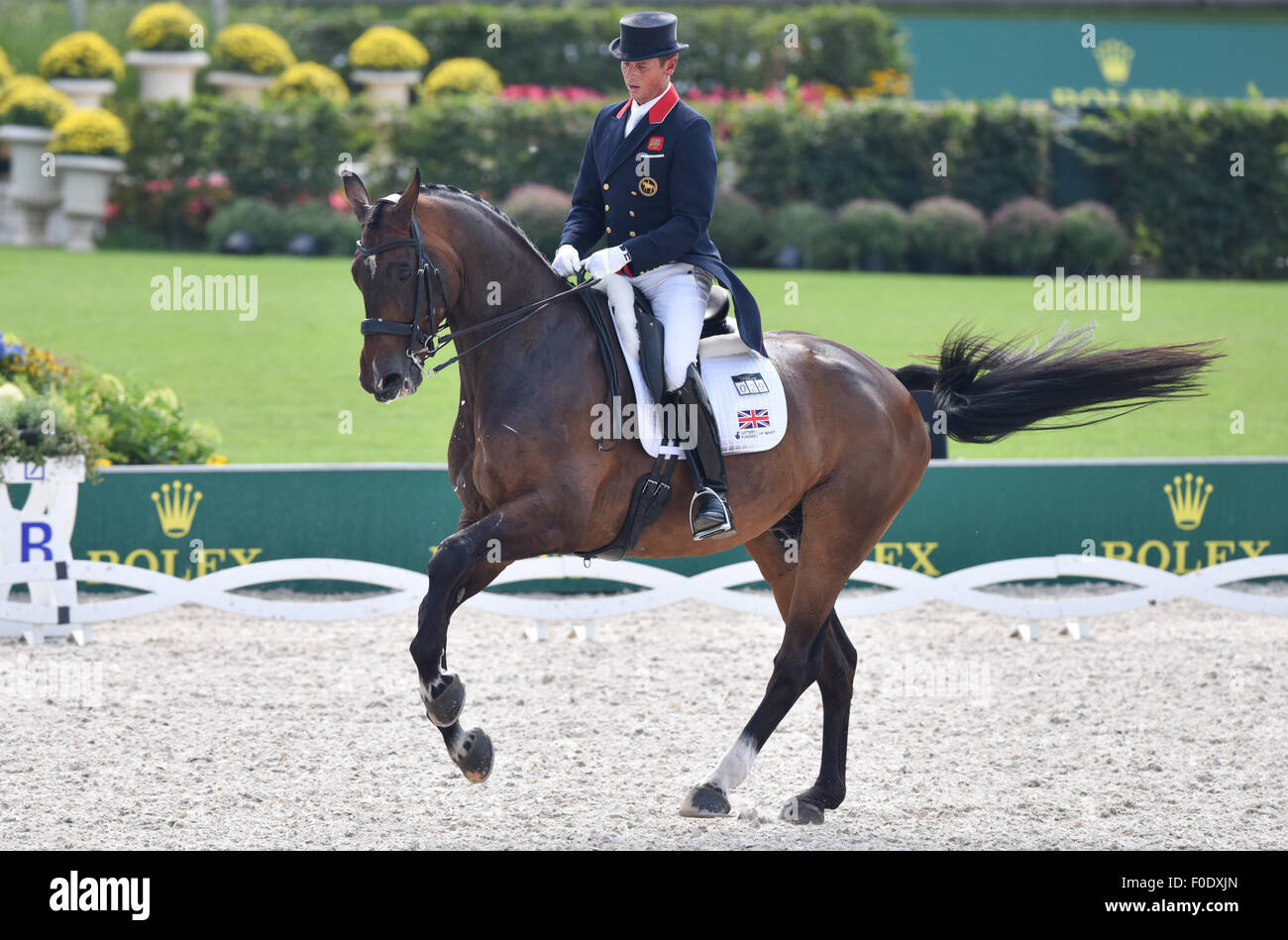 Aachen, Germany. 13th Aug, 2015. Carl Hester of Great Britain rides his horse Nip Tuck in the Grand Prix Dressage Team Final during the FEI European Championships in Aachen, Germany, 13 August 2015. Photo: Uwe Anspach/dpa/Alamy Live News Stock Photo