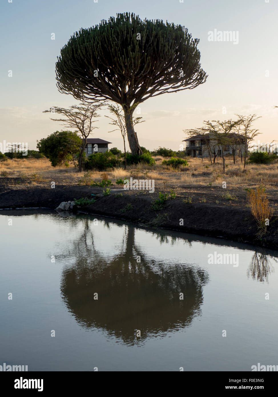 East Africa, Kenya, Ol Pejeda Conservancy Stock Photo