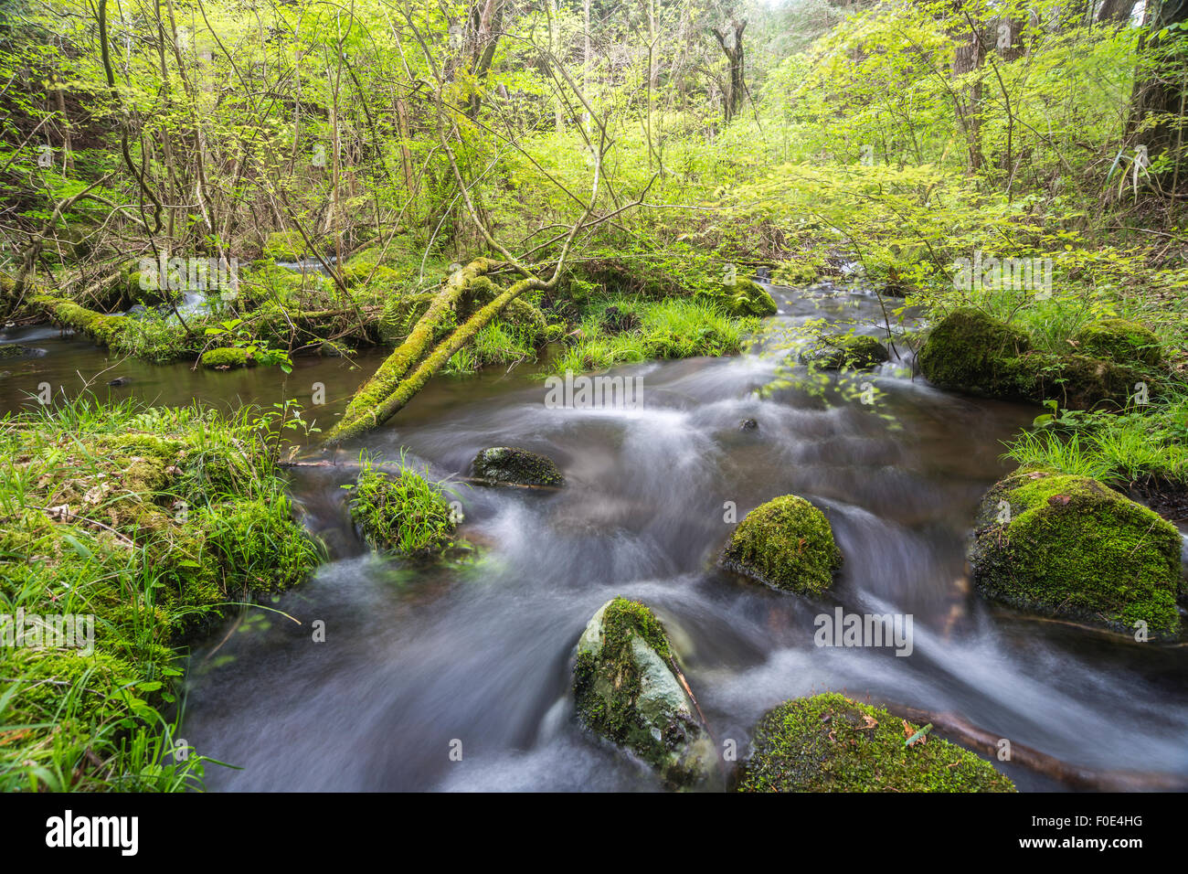 Mountain stream in Shizuoka, Japan Stock Photo
