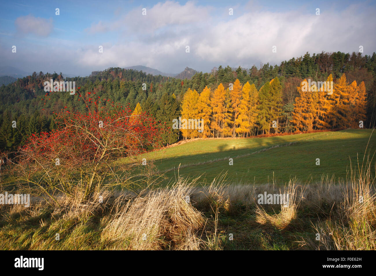 Forest in autumn, Mariina Skala in the distance, Rynartice, Ceske ...