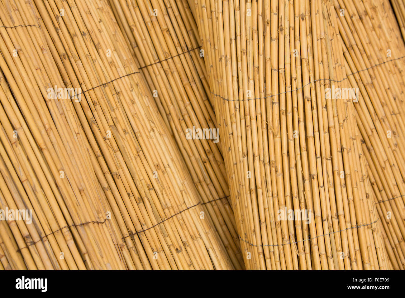 Background Texture of A Bamboo Fence found in store in Marrakesh, Morocco Stock Photo