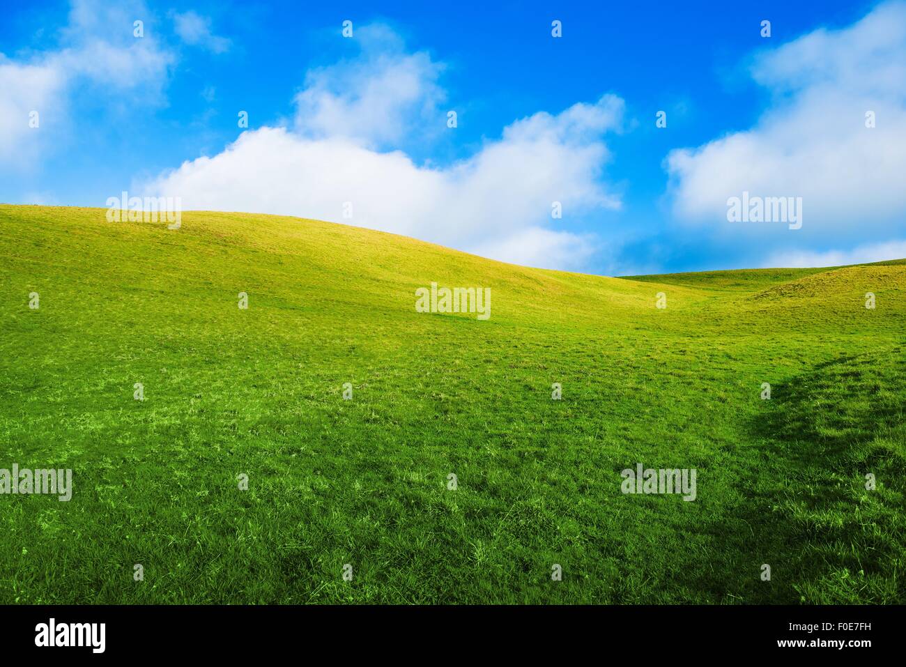 Green Summer Meadow and the Cloudy Blue Sky. Summer Vista Background. Stock Photo