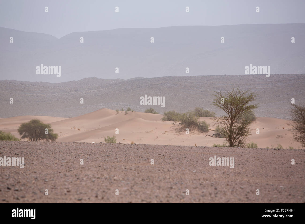 Arid and hot day in the desert of Sahara, near Tata in Morocco. Stock Photo