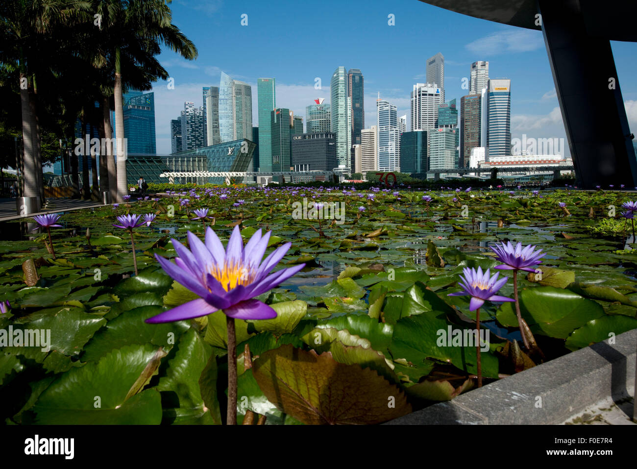 Singapore. 13th Aug, 2015. Skyscapers line the Singapore's Marina Bay on Aug. 13, 2015. Singapore's Ministry of Industry and Trade (MTI) downgraded its full-year economic growth forecast from 2.0-4.0% to 2.0-2.5 percent on Aug 11. © Then Chih Wey/Xinhua/Alamy Live News Stock Photo